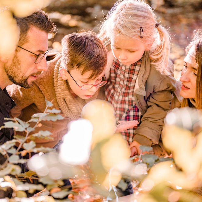 Zwei Erwachsene und zwei Kinder sind im Wald und schauen alle gemeinsam auf die Hand des männlichen Erwachsenen, wo Erde drauf ist.