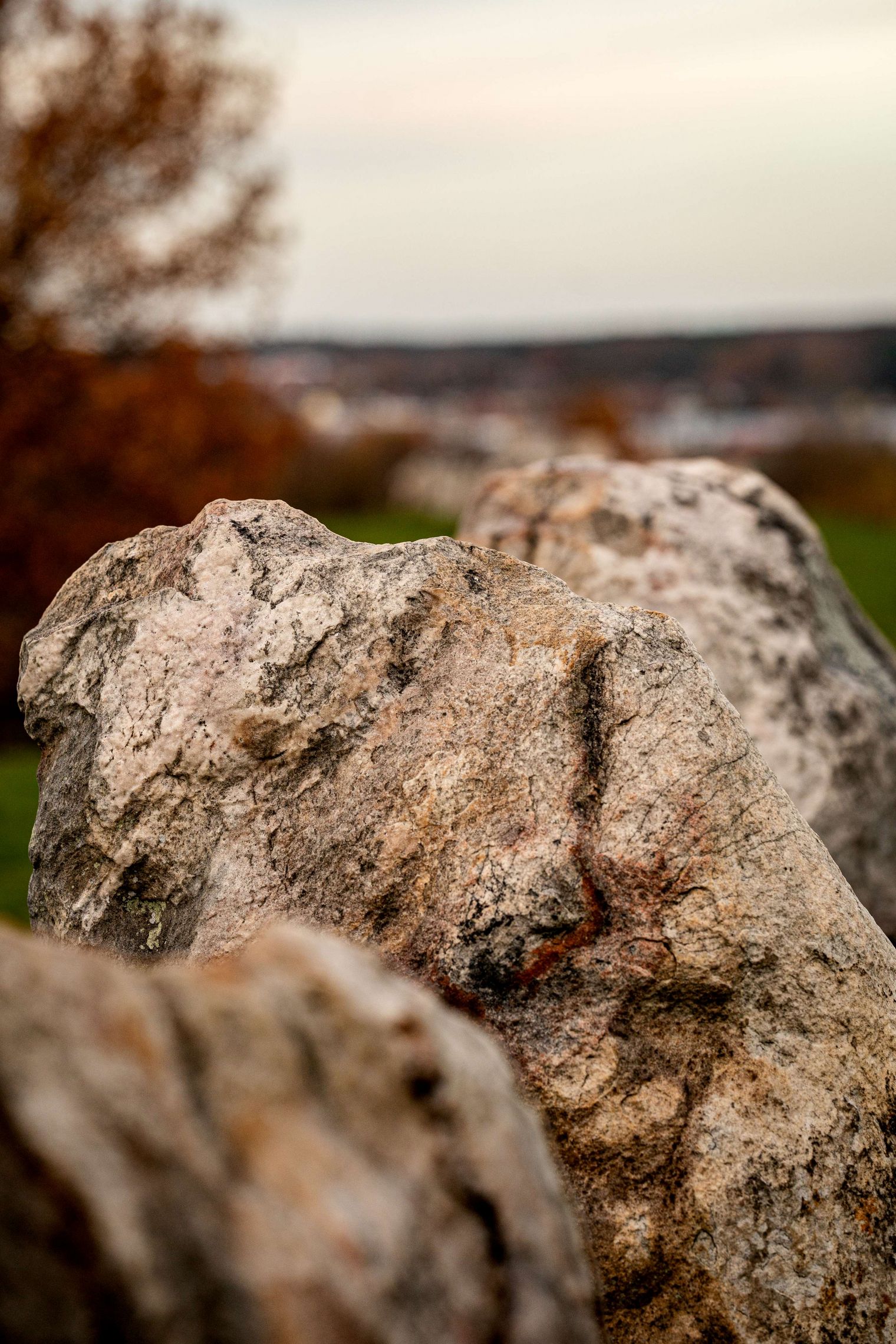 Nahaufnahme der Megalithanlage Lübbensteine bei Helmstedt