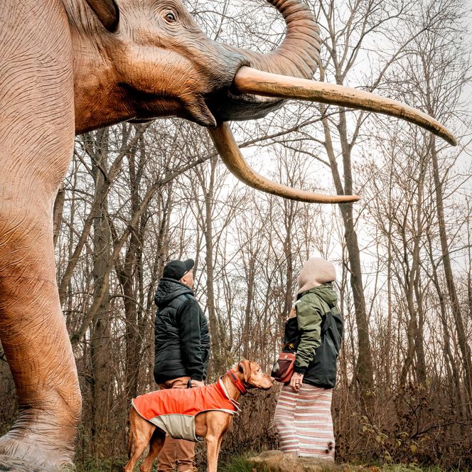 Zwei Personen stehen mit Hund an der Statue eines Waldelefanten