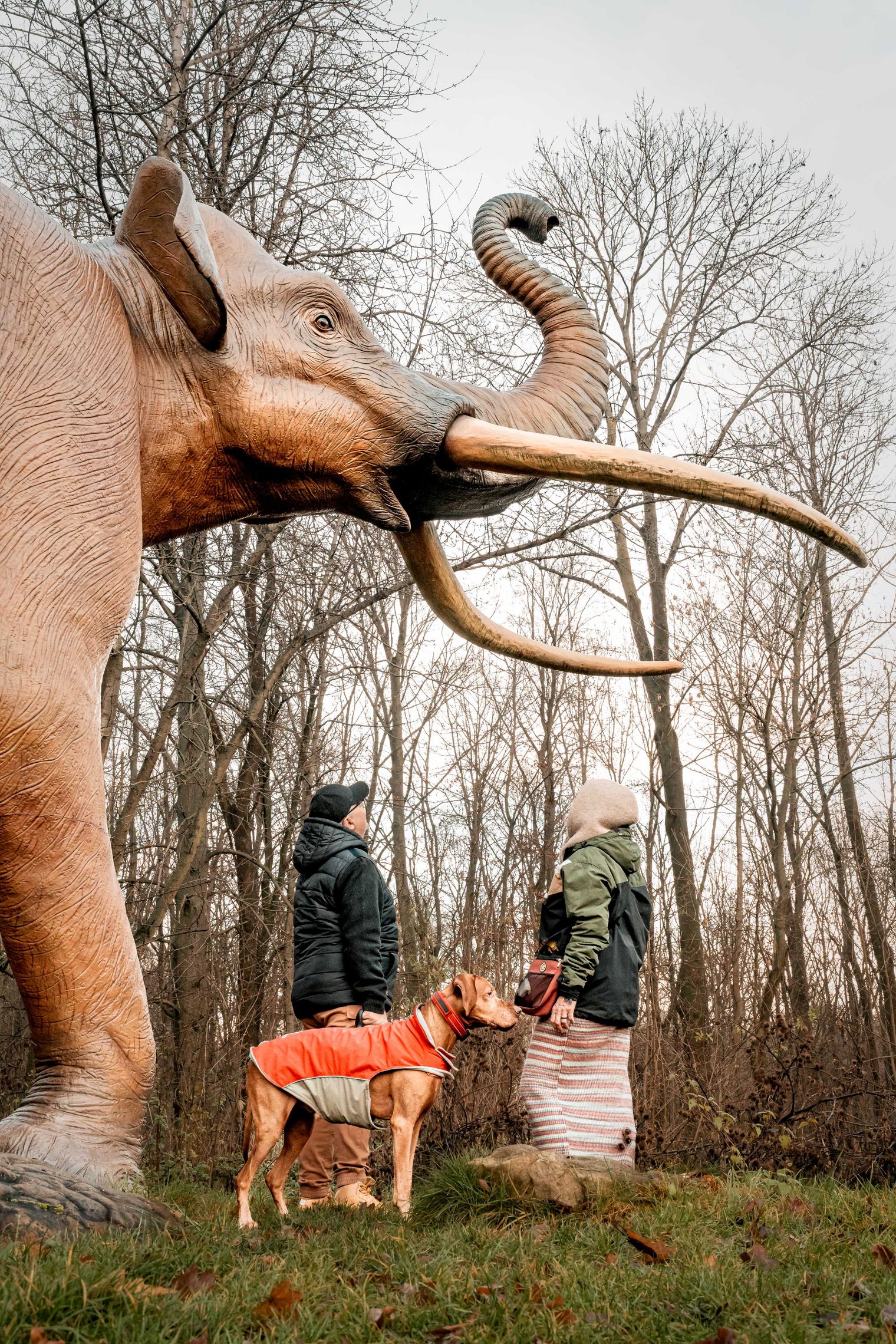 Zwei Personen stehen mit Hund an der Statue eines Waldelefanten