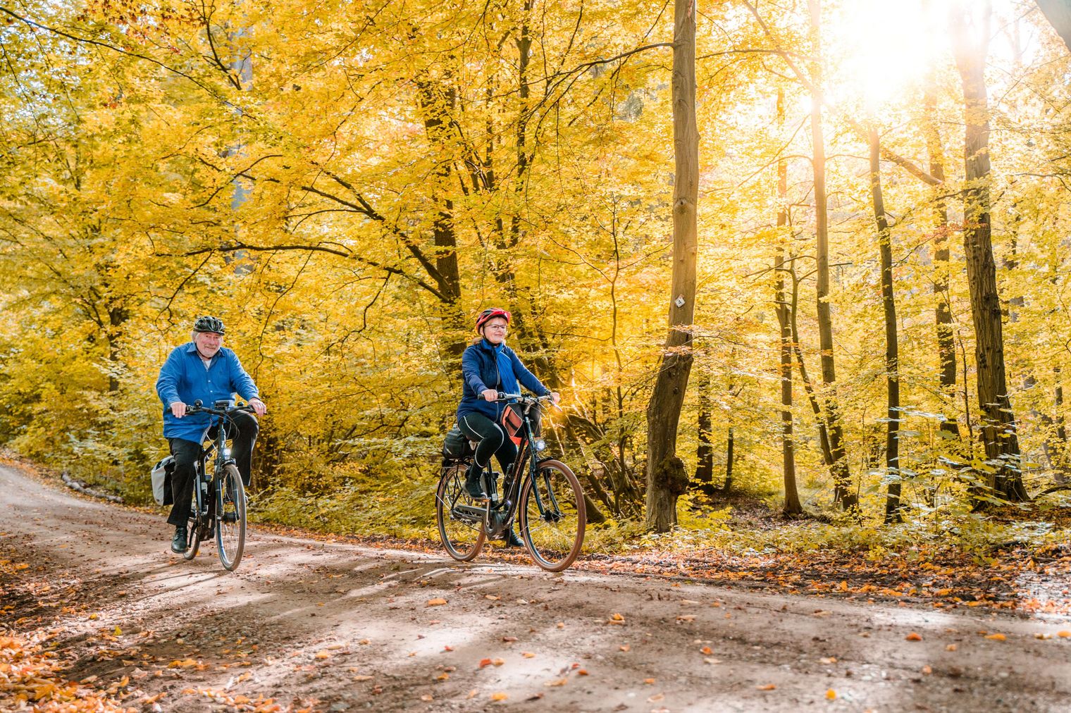 Zwei Personen fahren mit ihrem Fahrrad auf einem Waldweg