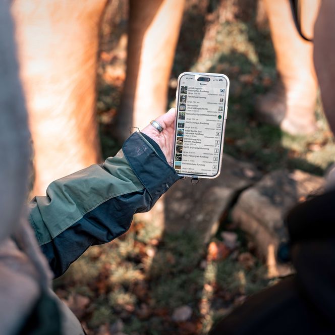 Smartphone in der Hand und dort sind verfügbare Wandertouren geöffnet